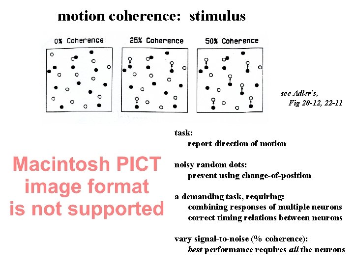 motion coherence: stimulus see Adler’s, Fig 20 -12, 22 -11 task: report direction of