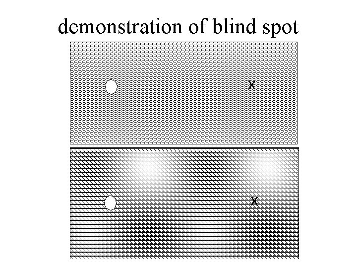 demonstration of blind spot 