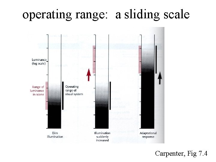 operating range: a sliding scale Carpenter, Fig 7. 4 