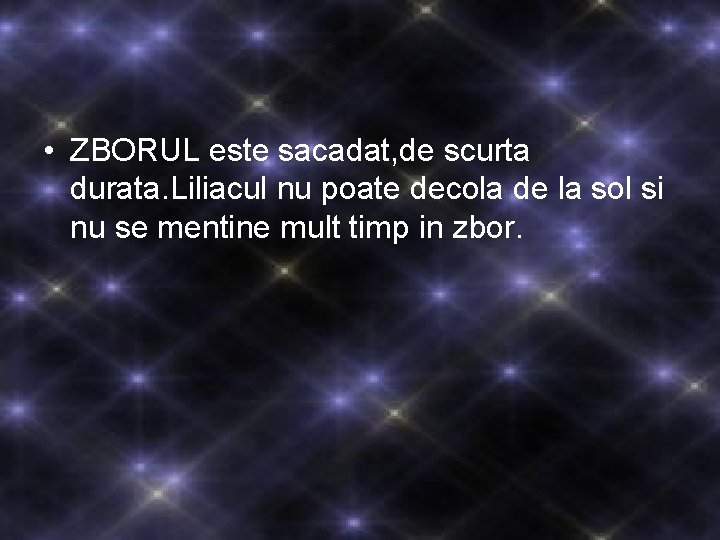 • ZBORUL este sacadat, de scurta durata. Liliacul nu poate decola de la • ZBORUL este sacadat, de scurta durata. Liliacul nu poate decola de la