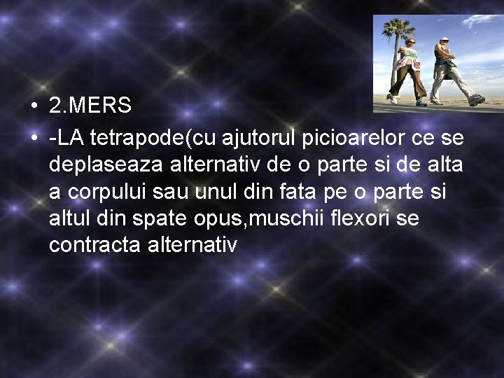 • 2. MERS • -LA tetrapode(cu ajutorul picioarelor ce se deplaseaza alternativ de • 2. MERS • -LA tetrapode(cu ajutorul picioarelor ce se deplaseaza alternativ de