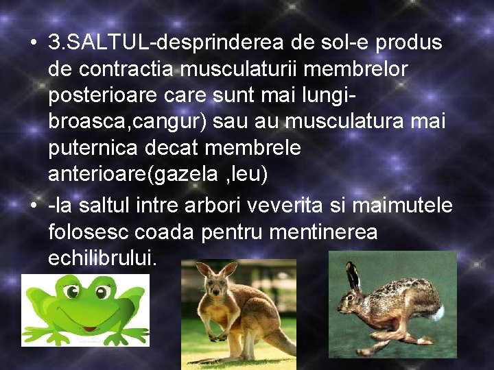 • 3. SALTUL-desprinderea de sol-e produs de contractia musculaturii membrelor posterioare care sunt • 3. SALTUL-desprinderea de sol-e produs de contractia musculaturii membrelor posterioare care sunt