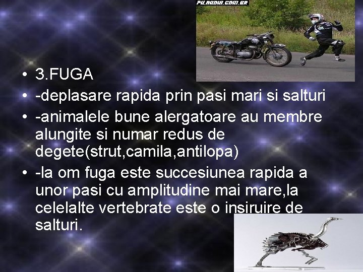 • 3. FUGA • -deplasare rapida prin pasi mari si salturi • -animalele • 3. FUGA • -deplasare rapida prin pasi mari si salturi • -animalele