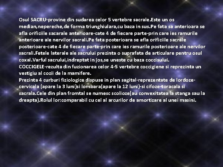 Osul SACRU-provine din sudarea celor 5 vertebre sacrale. Este un os median, nepereche, de Osul SACRU-provine din sudarea celor 5 vertebre sacrale. Este un os median, nepereche, de