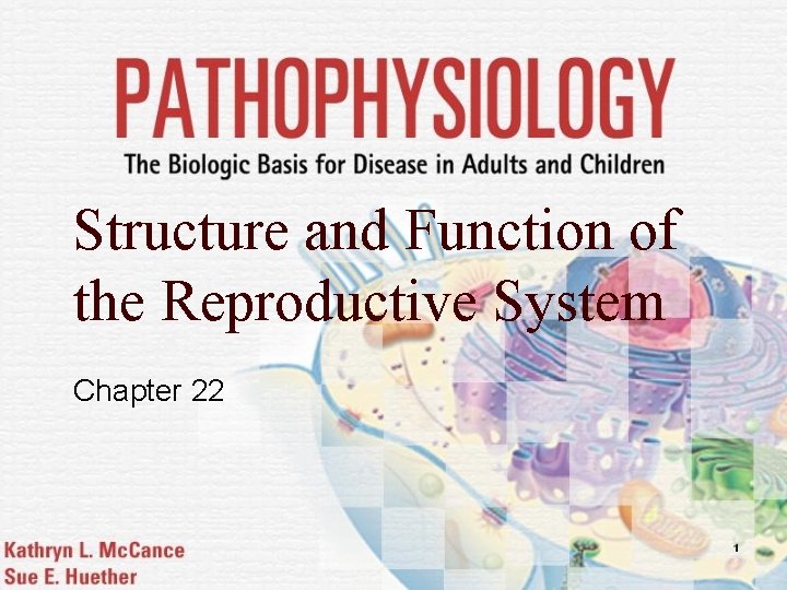 Structure and Function of the Reproductive System Chapter 22 