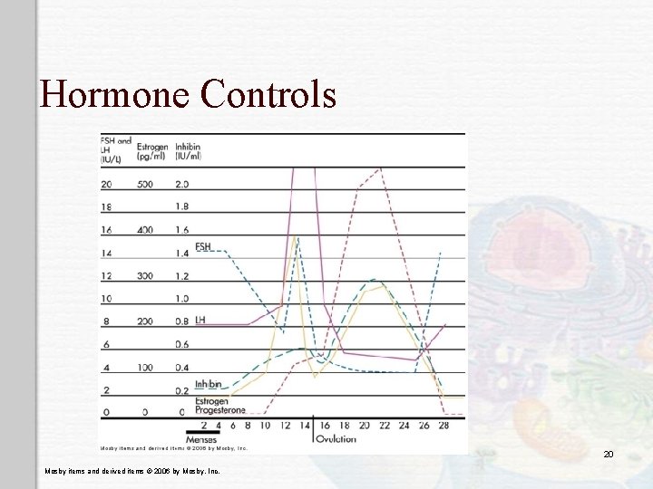 Hormone Controls 20 Mosby items and derived items © 2006 by Mosby, Inc. 