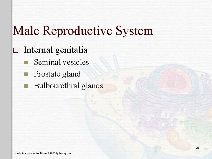 Male Reproductive System o Internal genitalia n n n Seminal vesicles Prostate gland Bulbourethral