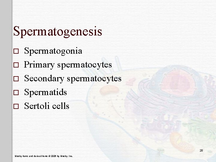 Spermatogenesis o o o Spermatogonia Primary spermatocytes Secondary spermatocytes Spermatids Sertoli cells 28 Mosby