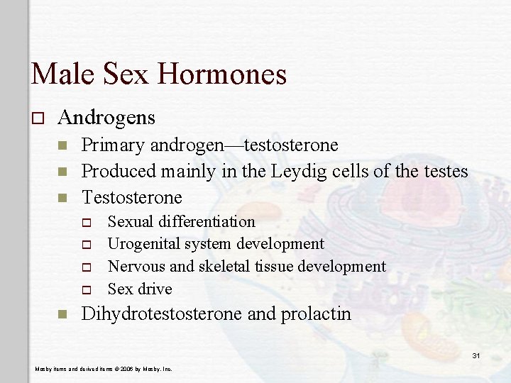 Male Sex Hormones o Androgens n n n Primary androgen—testosterone Produced mainly in the