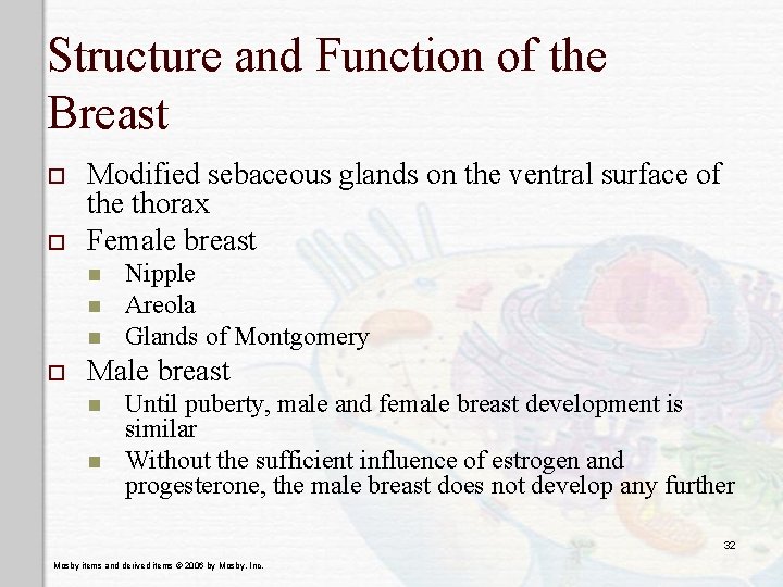 Structure and Function of the Breast o o Modified sebaceous glands on the ventral