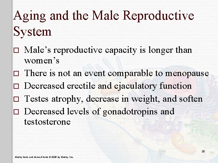 Aging and the Male Reproductive System o o o Male’s reproductive capacity is longer