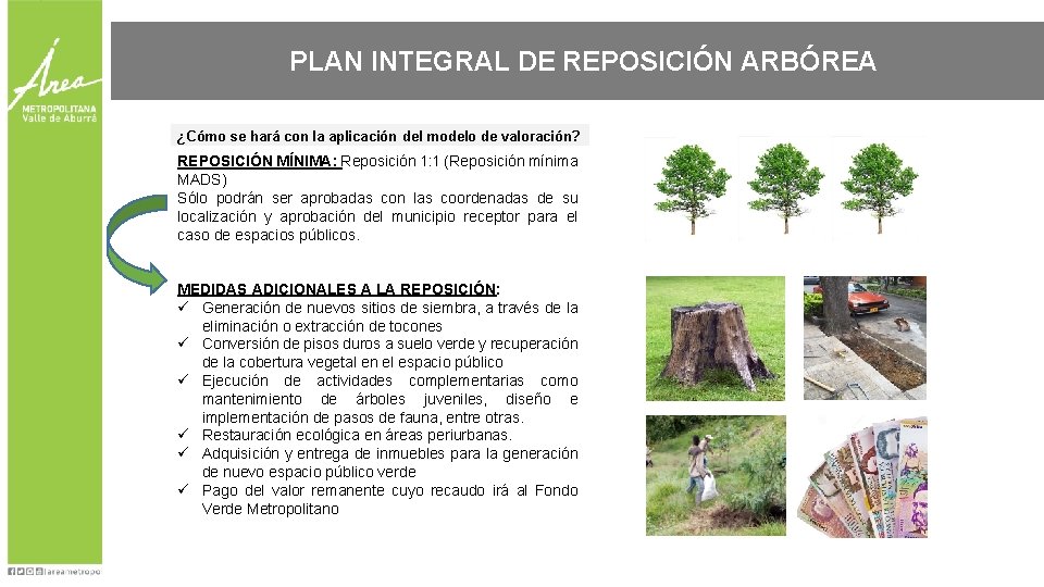 PLAN INTEGRAL DE REPOSICIÓN ARBÓREA ¿Cómo se hará con la aplicación del modelo de