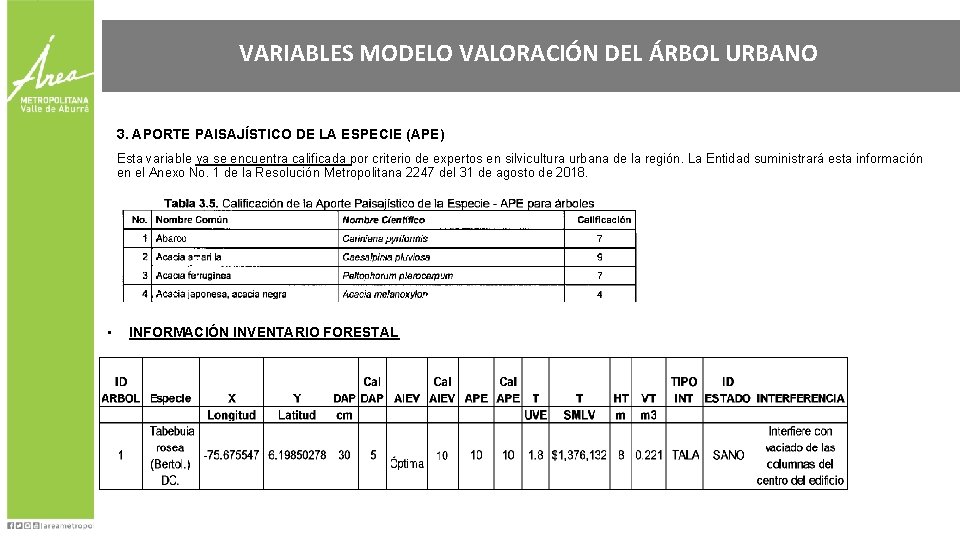 VARIABLES MODELO VALORACIÓN DEL ÁRBOL URBANO 3. APORTE PAISAJÍSTICO DE LA ESPECIE (APE) Esta