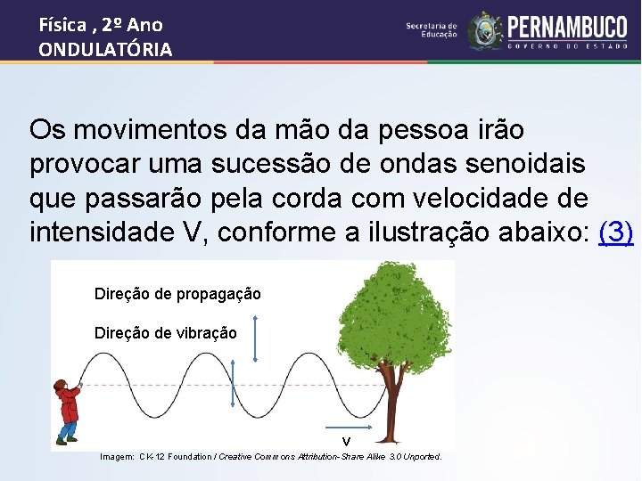 Física , 2º Ano ONDULATÓRIA Os movimentos da mão da pessoa irão provocar uma