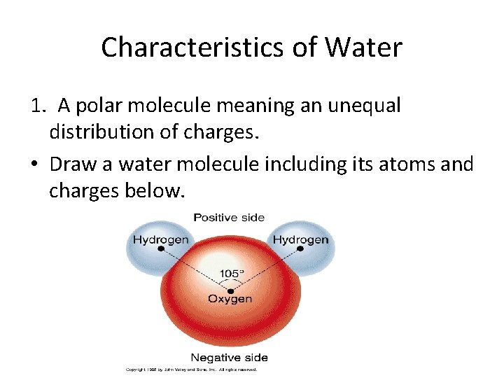 Characteristics of Water 1. A polar molecule meaning an unequal distribution of charges. •