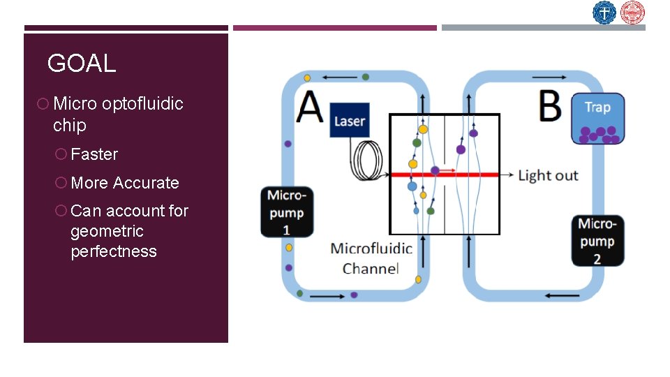 GOAL Micro optofluidic chip Faster More Accurate Can account for geometric perfectness 