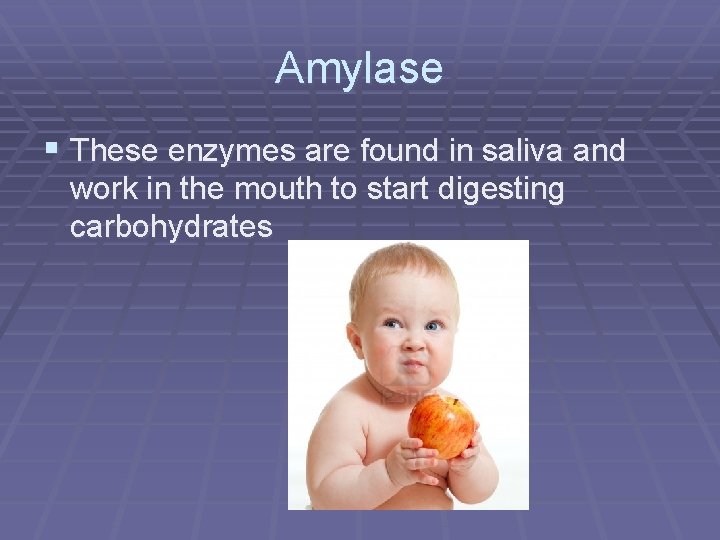 Amylase § These enzymes are found in saliva and work in the mouth to
