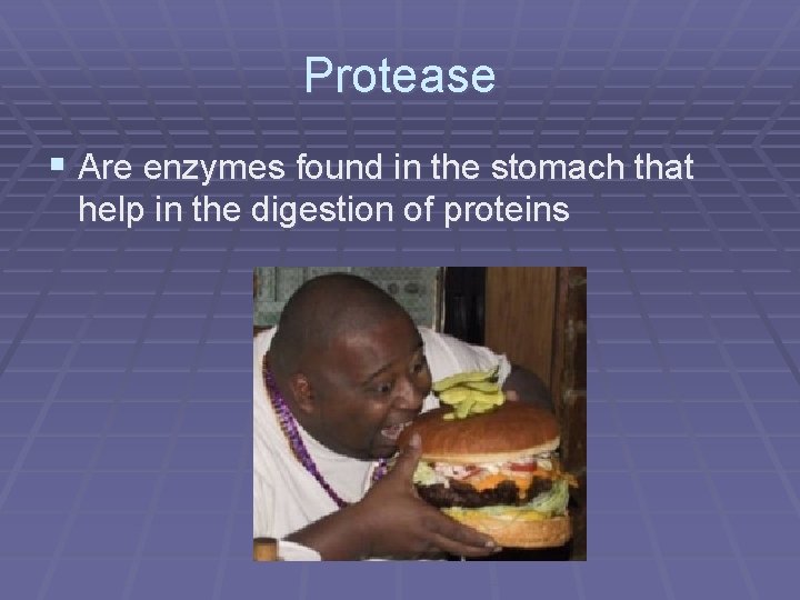 Protease § Are enzymes found in the stomach that help in the digestion of