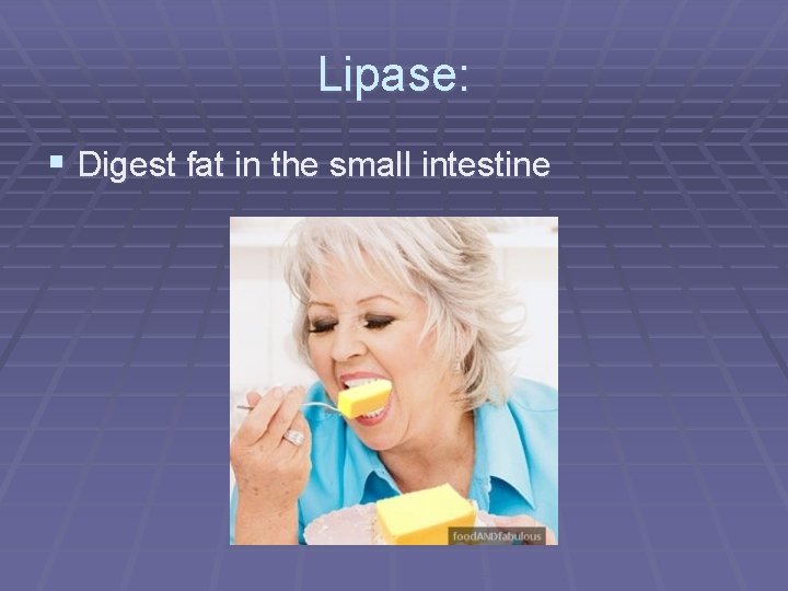 Lipase: § Digest fat in the small intestine 