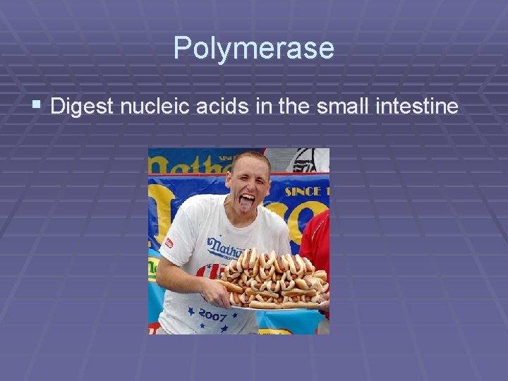 Polymerase § Digest nucleic acids in the small intestine 