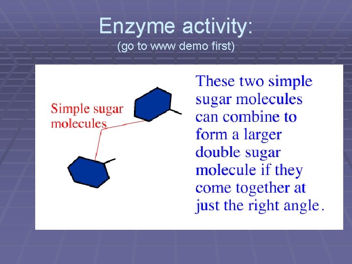 Enzyme activity: (go to www demo first) 
