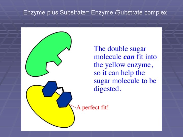 Enzyme plus Substrate= Enzyme /Substrate complex 