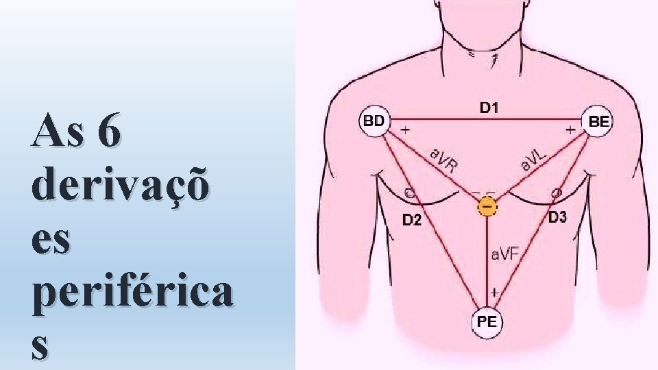 As 6 derivaçõ es periférica s 