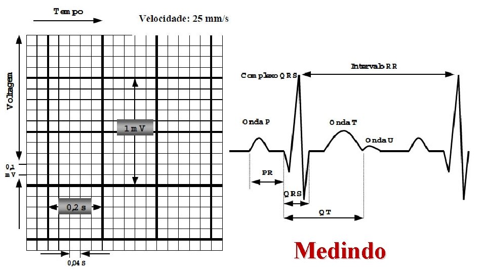 Medindo 