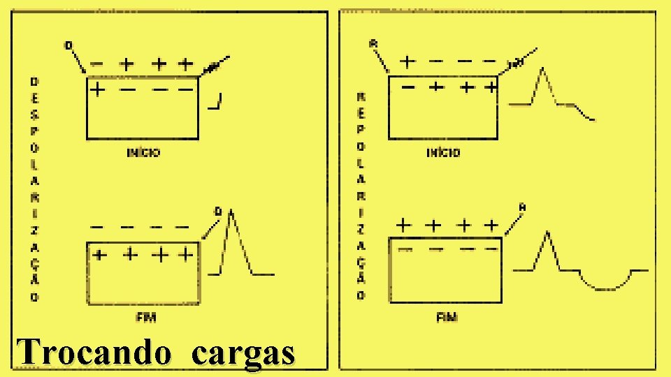 Trocando cargas 
