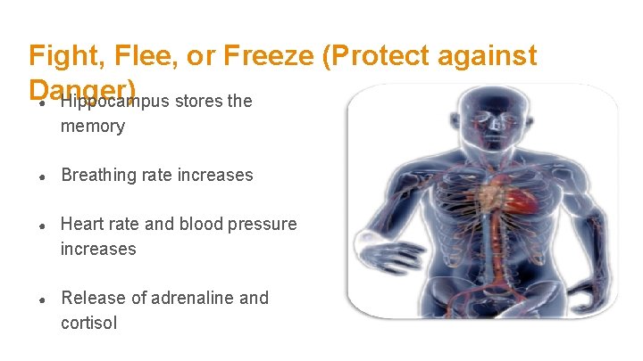 Fight, Flee, or Freeze (Protect against Danger) ● Hippocampus stores the memory ● Breathing Fight, Flee, or Freeze (Protect against Danger) ● Hippocampus stores the memory ● Breathing