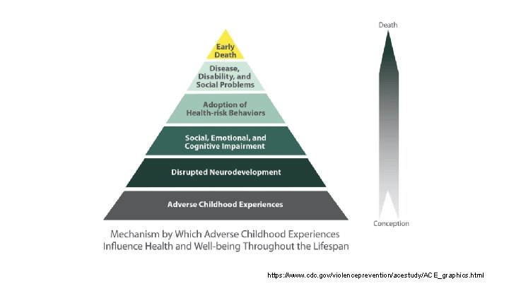 https: //www. cdc. gov/violenceprevention/acestudy/ACE_graphics. html https: //www. cdc. gov/violenceprevention/acestudy/ACE_graphics. html