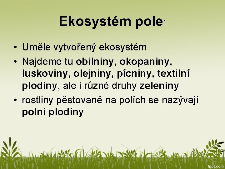 Ekosystém pole 1 • Uměle vytvořený ekosystém • Najdeme tu obilniny, okopaniny, luskoviny, olejniny,