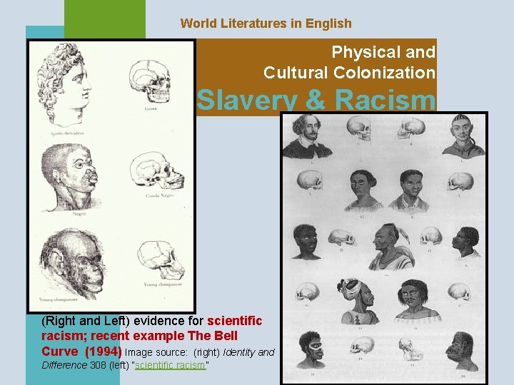 World Literatures in English Physical and Cultural Colonization Slavery & Racism (Right and Left)