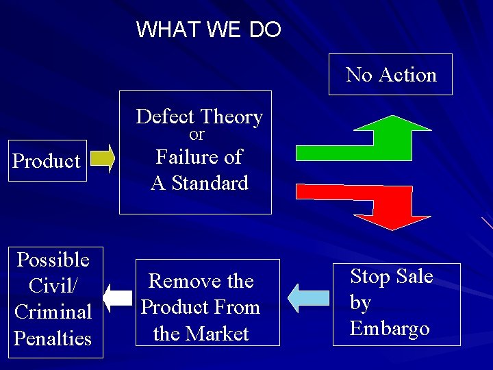 WHAT WE DO No Action Defect Theory or Product Possible Civil/ Criminal Penalties Failure