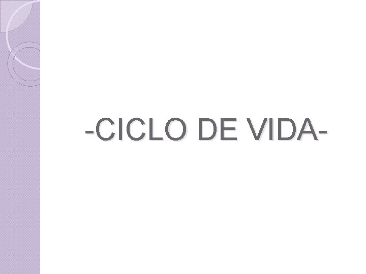 -CICLO DE VIDA- 