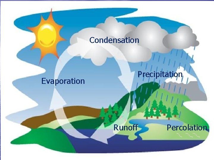 Condensation Evaporation Precipitation Runoff Percolation Condensation Evaporation Precipitation Runoff Percolation