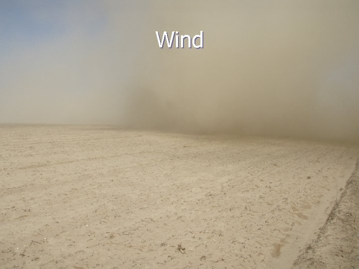 Wind Wind