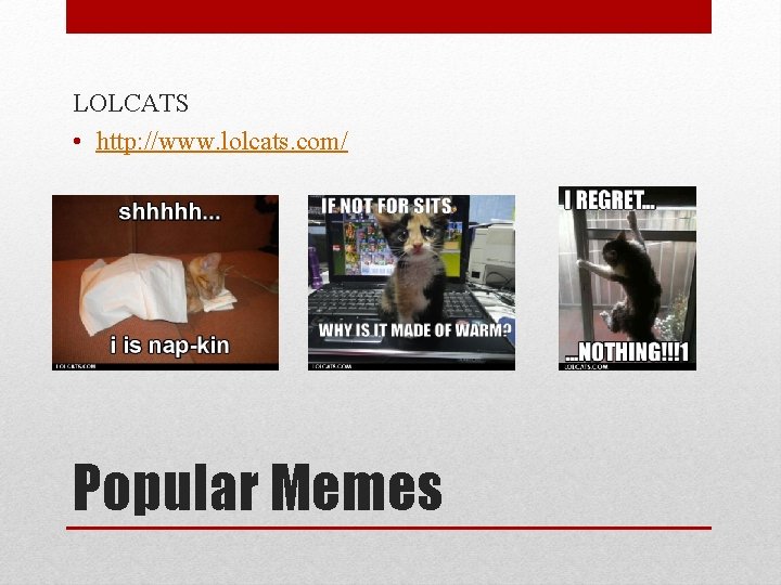 LOLCATS • http: //www. lolcats. com/ Popular Memes 