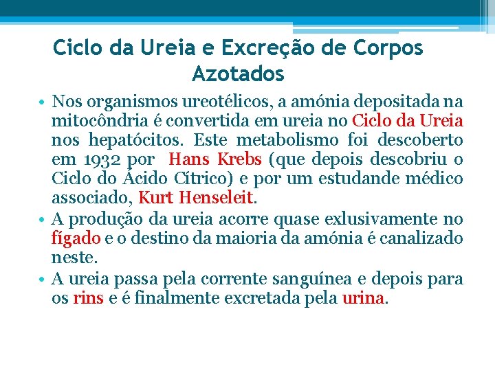 Ciclo da Ureia e Excreção de Corpos Azotados • Nos organismos ureotélicos, a amónia