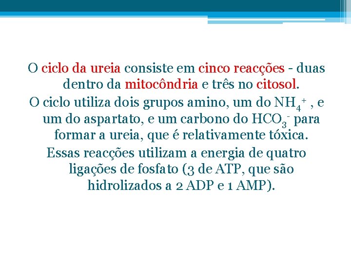 O ciclo da ureia consiste em cinco reacções - duas dentro da mitocôndria e