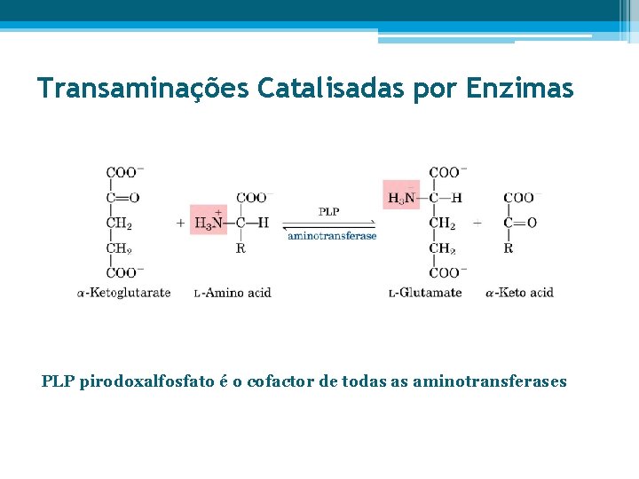 Transaminações Catalisadas por Enzimas PLP pirodoxalfosfato é o cofactor de todas as aminotransferases 
