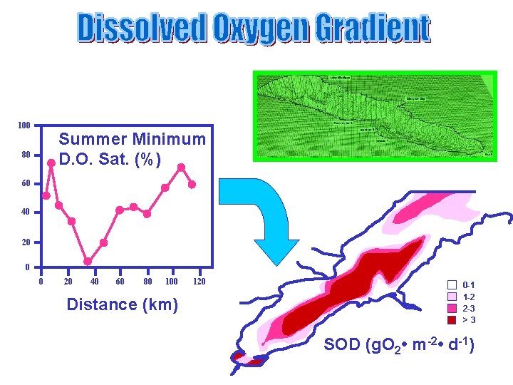 100 Summer Minimum D. O. Sat. (%) 80 60 40 20 0 0 20