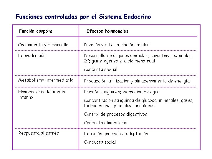 Funciones controladas por el Sistema Endocrino Función corporal Efectos hormonales Crecimiento y desarrollo División