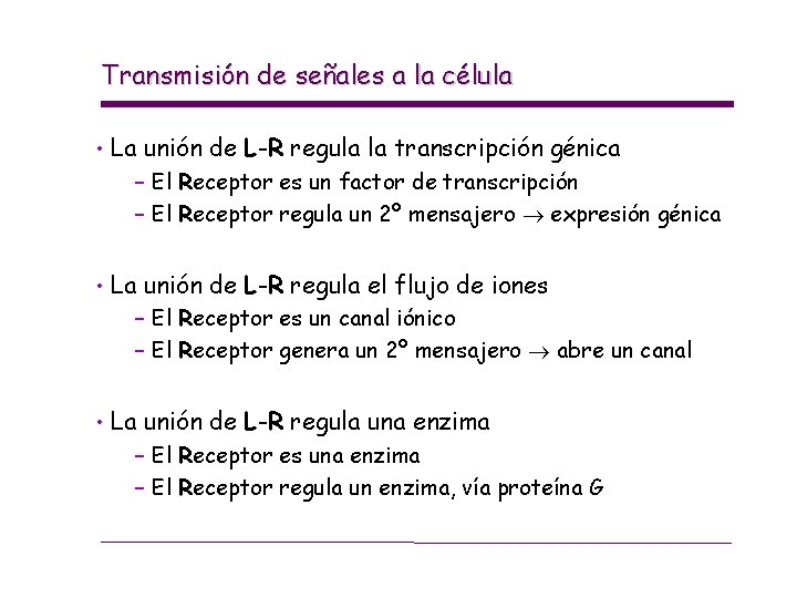 Transmisión de señales a la célula • La unión de L-R regula la transcripción