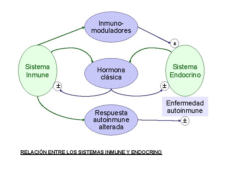Inmunomoduladores Sistema Inmune Hormona clásica Respuesta autoinmune alterada RELACIÓN ENTRE LOS SISTEMAS INMUNE Y