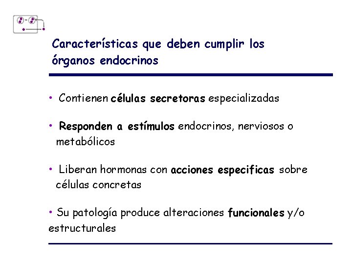 Características que deben cumplir los órganos endocrinos • Contienen células secretoras especializadas • Responden