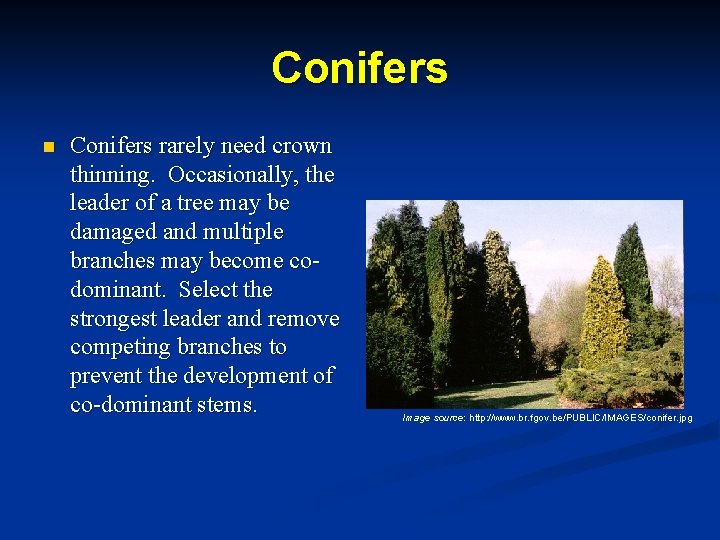 How to Prune Trees Introduction The objective of