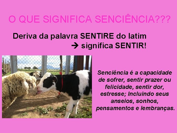 O QUE SIGNIFICA SENCIÊNCIA? ? ? Deriva da palavra SENTIRE do latim significa SENTIR!