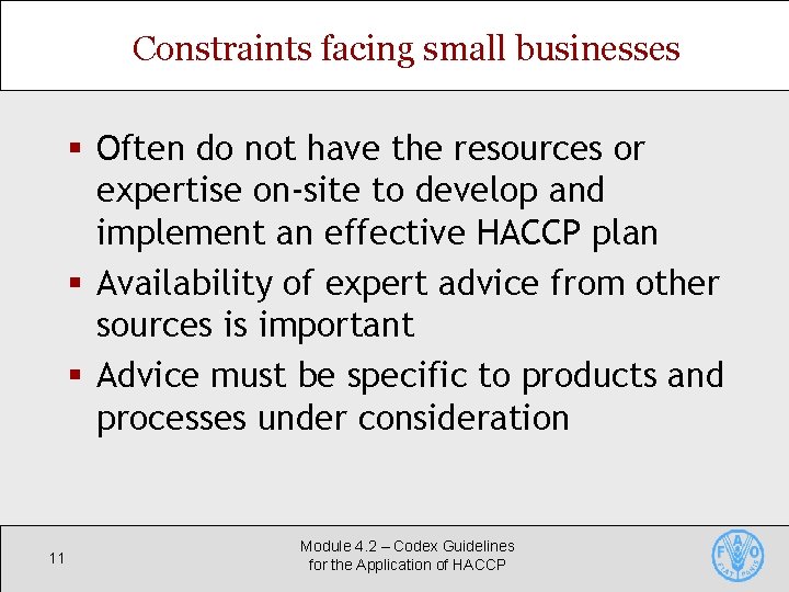 Constraints facing small businesses § Often do not have the resources or expertise on-site
