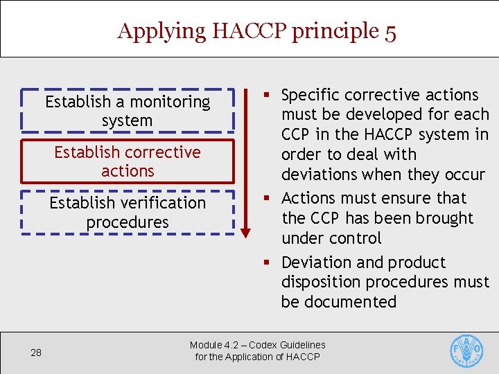 Applying HACCP principle 5 Establish a monitoring system Establish corrective actions Establish verification procedures